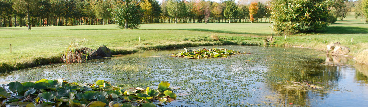 CS Landscaping & Construction in Cheltenham, Gloucestershire specialise in garden water features and ponds