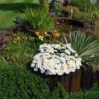 -cs-landscaping-garden-design-cheltenham-